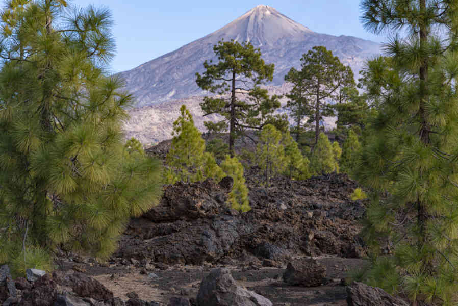 Tenerife 295 - parque natural Corona Forestal - volcán Teide.jpg